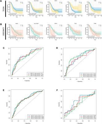 Redox-associated messenger RNAs identify novel prognostic values and influence the tumor immune microenvironment of lung adenocarcinoma